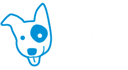 BlueSpot